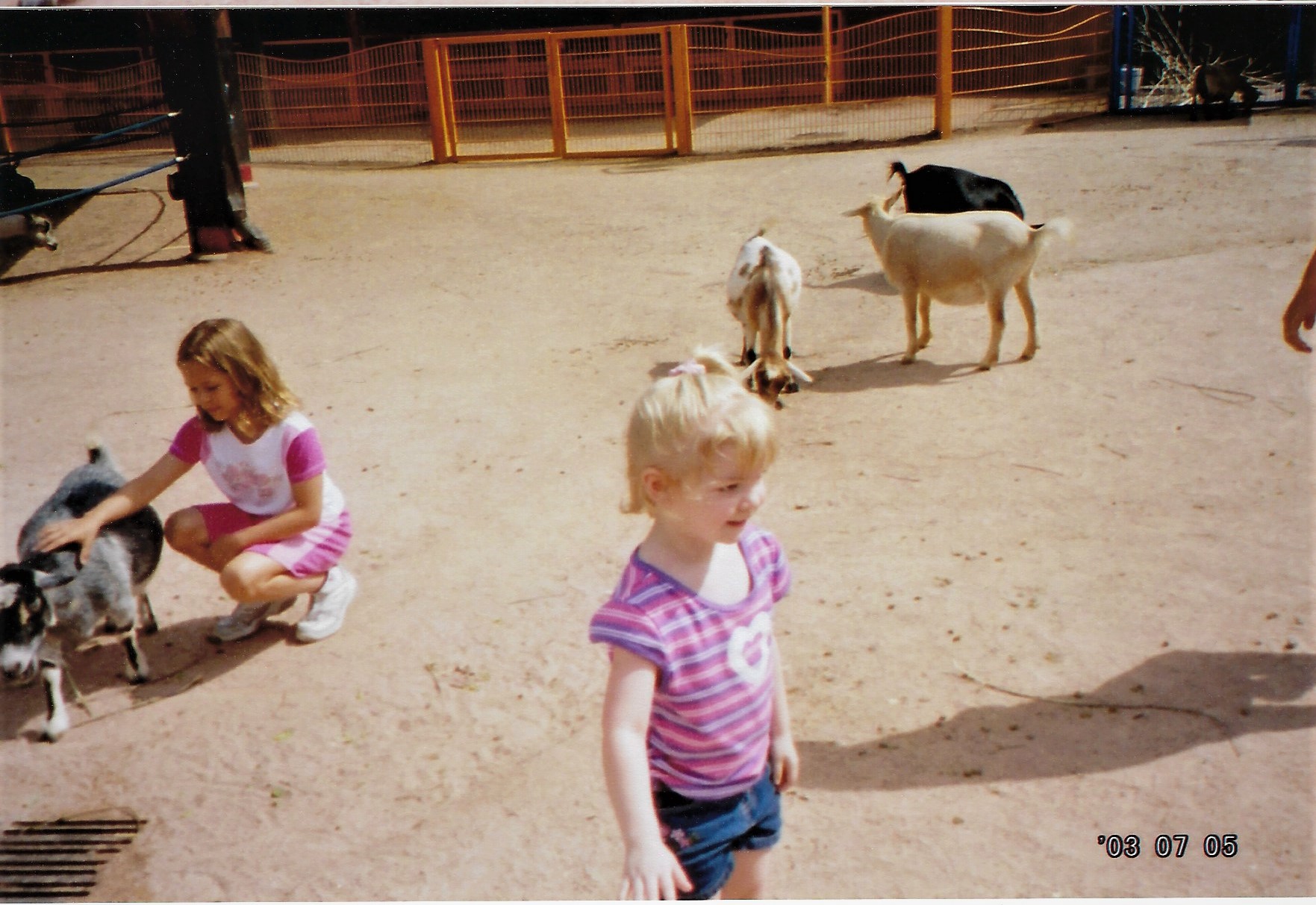 Photo_2022-11-10_120836 (3)